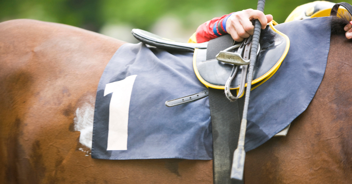 the-racehorse-expense-how-much-racehorses-cost